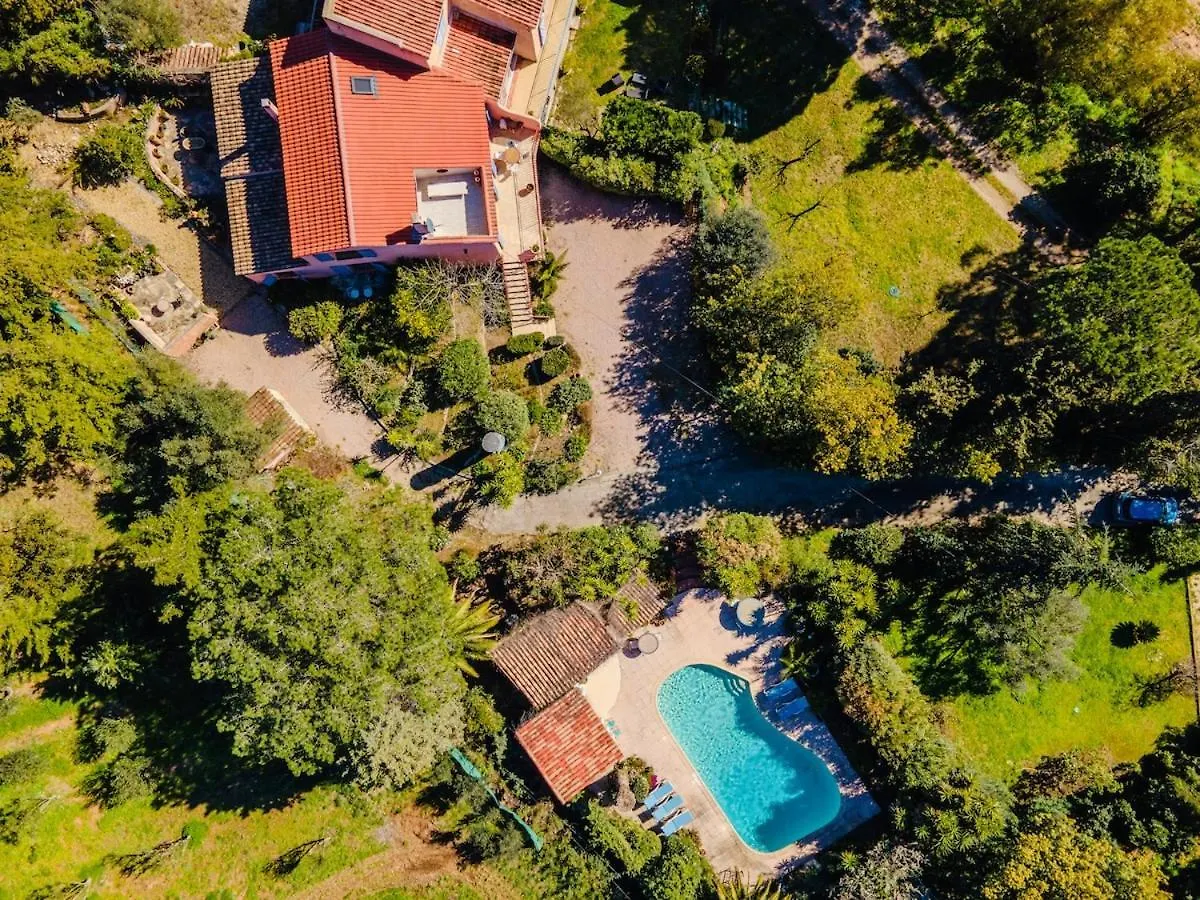 Villa Entre Vigne Et Mer La Londe-les-Maures